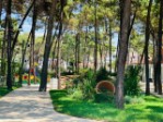 Hotel Diamma Resort Conference&Spa wakacje