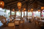 Hotel Regina Palm Resort wakacje