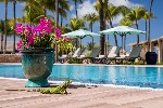 Hotel Manchebo Beach Resort & Spa wakacje