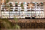 Hotel Sunny Beach Club ( ex. Cook’s Club Sunny Beach) wakacje