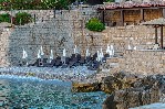 Hotel Hotel Resort Wind Rose wakacje