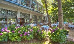 Hotel Hotel Rivijera Petrovac wakacje