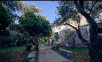 Hotel Hotel Vile Oliva Petrovac wakacje