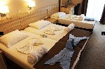 Hotel Hotel Vile Oliva Petrovac wakacje