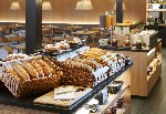 Hotel Wellness Hotel Svornost wakacje