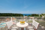 Hotel Hotel ALBATROS Plava Laguna wakacje