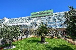 Hotel Hotel Hedera wakacje