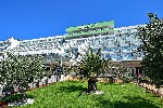 Hotel Hotel Hedera wakacje