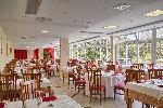 Hotel Hotel Mimosa - Lido Palace wakacje