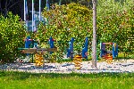 Hotel Hotel Narcis wakacje