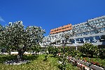 Hotel Hotel Narcis wakacje