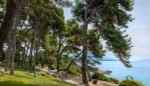 Hotel Valamar Carolina Hotels & Villas wakacje