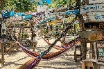 Hotel Lions Dive & Beach Resort Curaçao wakacje