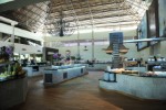 Hotel Impressive Premium Punta Cana wakacje