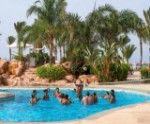 Hotel Stella Makadi Beach Resort & Spa wakacje