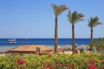 Hotel ALBATROS PALACE wakacje