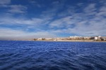 Hotel ALBATROS PALACE wakacje