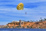 Hotel ALBATROS SHARM RESORT wakacje