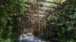 Hotel The St Regis Bali Resort wakacje