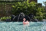 Hotel Andaz Bali wakacje
