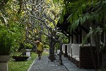 Hotel Puri Santrian wakacje