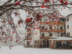 Hotel Albergo Panorama wakacje