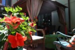 Hotel Hotel Ambrosiano wakacje