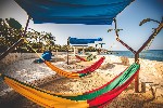 Hotel Ocean Cliff Hotel Negril wakacje