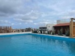 Hotel Oasis White wakacje