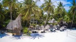 Hotel Pinewood Beach Resort And Spa wakacje