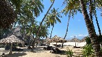 Hotel Pinewood Beach Resort And Spa wakacje