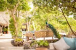 Hotel The Sands At Chale Island wakacje