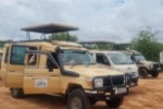 Hotel EXIMdiscovery - Fotograficzne Safari Tsavo East - wypoczynek i safari wakacje