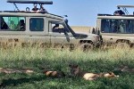 Hotel EXIMdiscovery - Fotograficzne Safari Tsavo East - wypoczynek i safari wakacje