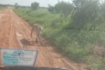 Hotel Fotograficzne Safari Tsavo East - wypoczynek i safari wakacje