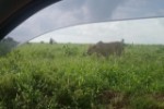 Hotel Fotograficzne Safari Tsavo East - wypoczynek i safari wakacje