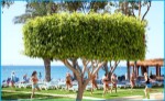 Hotel Poseidonia Beach Hotel wakacje