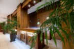 Hotel Cavo Zoe Seaside Hotel wakacje