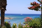 Hotel Crystal Springs Beach Hotel wakacje