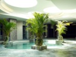 Hotel Sunrise Pearl Hotel & Spa wakacje
