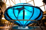 Hotel Hotel Aquaworld Budapest wakacje