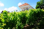 Hotel Hotel Zenit Balaton wakacje