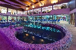 Hotel Hotel Karos Spa wakacje