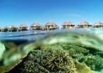 Hotel Safari Island Resort & SPA wakacje