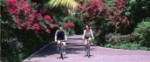 Hotel Villa Park [ex. Sun Island] wakacje
