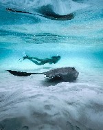 Hotel Cocoon Maldives wakacje