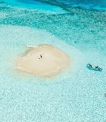 Hotel Reethi Faru Resort wakacje
