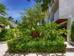 Hotel Plumeria wakacje