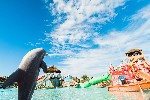 Hotel Pickalbatros Aqua Fun Club Resort wakacje