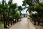 Hotel Solymar Beach Resort wakacje